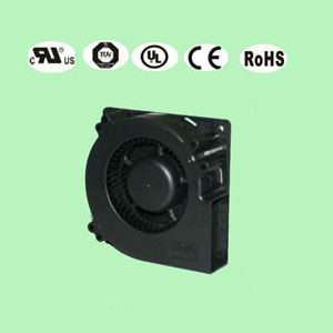 ɢ���L��12032